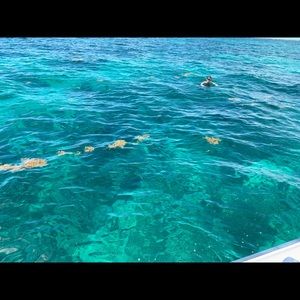 Meet your Posher, Isabel